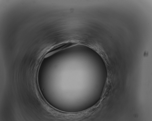 X0000097960001200804011708