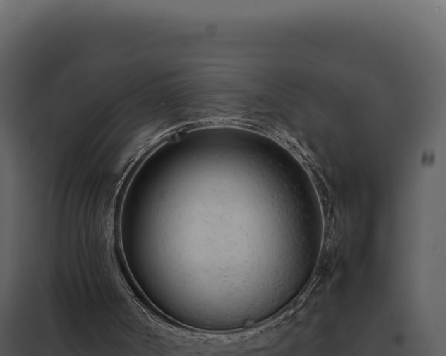 X0000097960002200804011708