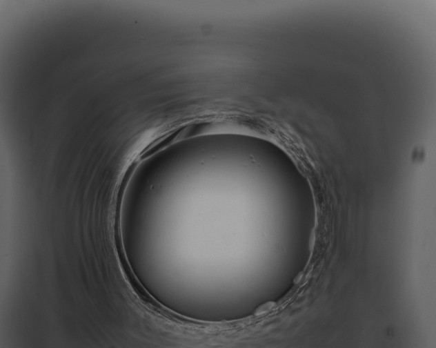 X0000097960003200804011708