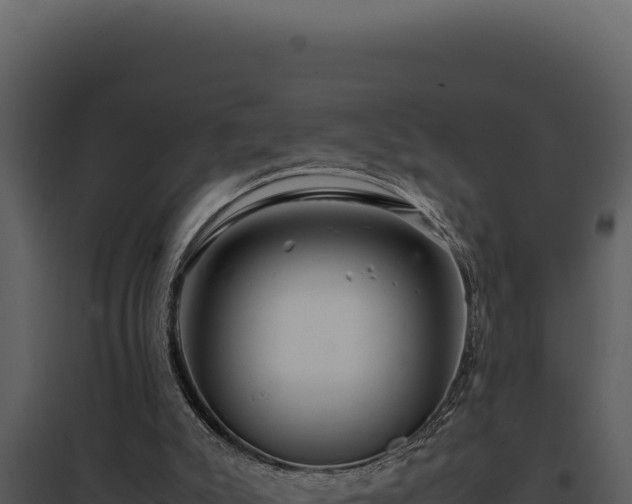 X0000097960007200804011708
