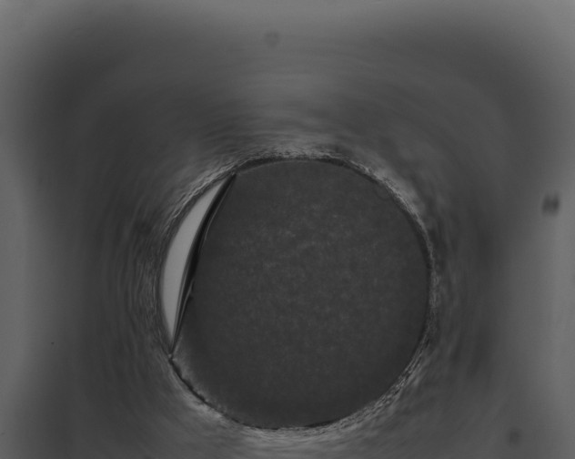 X0000097960009200804011708
