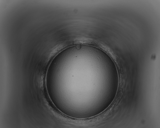 X0000097960010200804011708