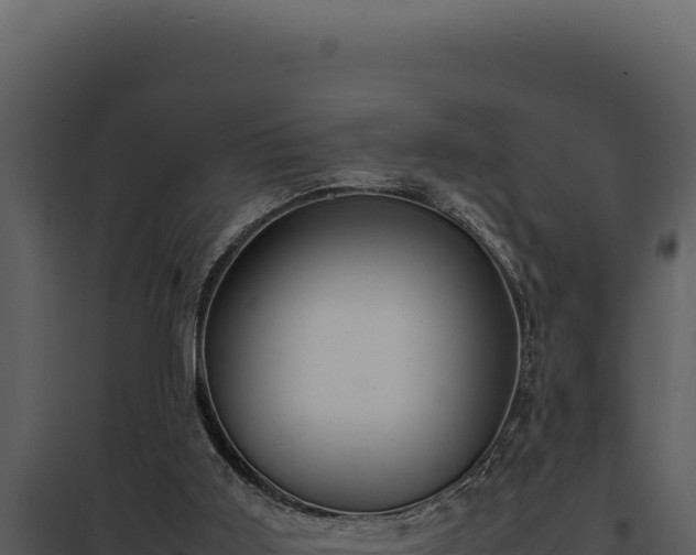 X0000097960011200804011708