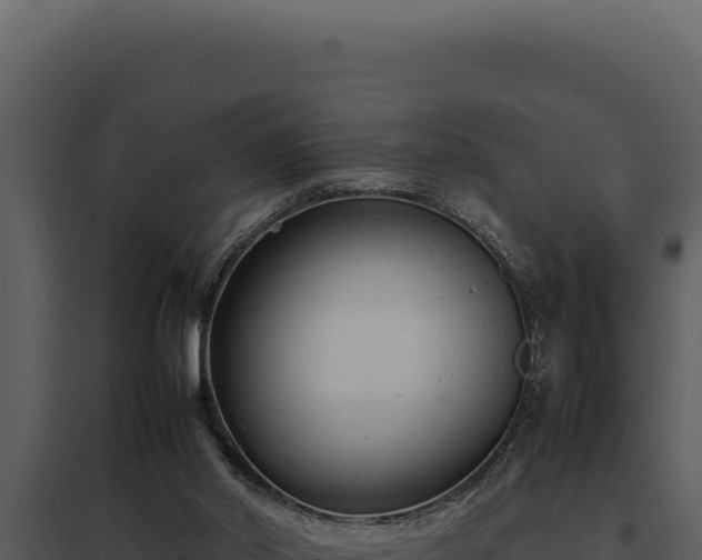 X0000097960014200804011708