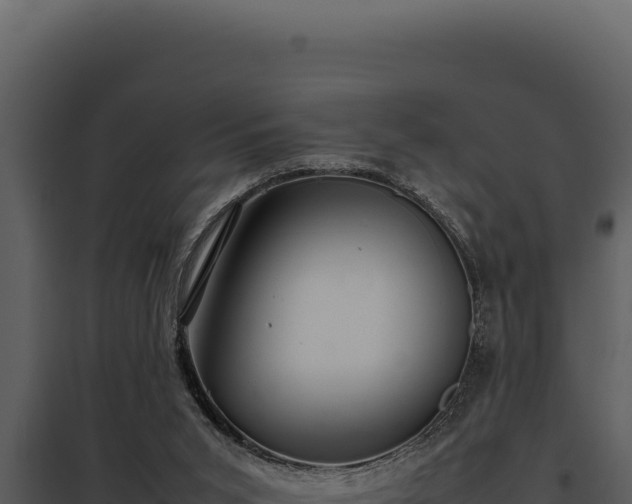 X0000097960015200804011708