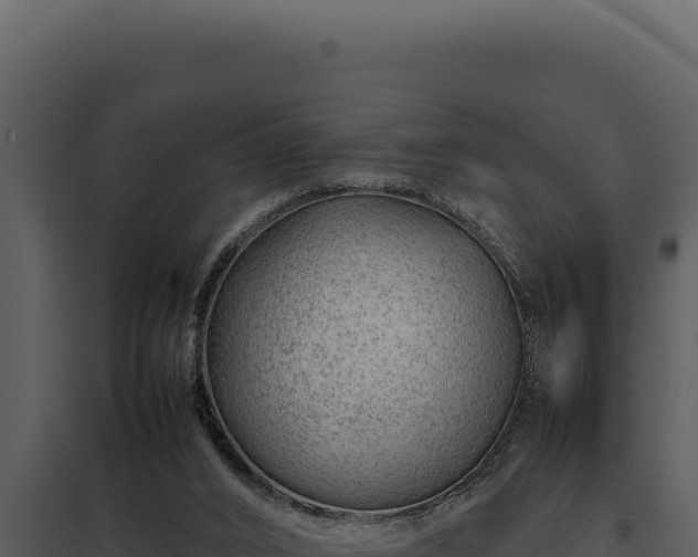 X0000097960016200804011708