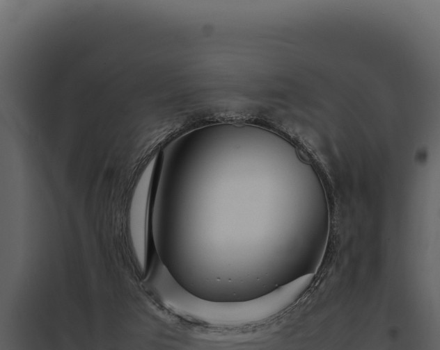 X0000097960017200804011708