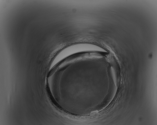 X0000097960019200804011708