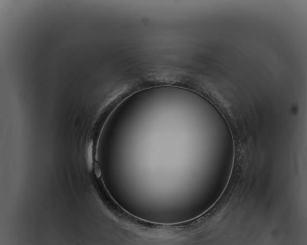 X0000097960020200804011708