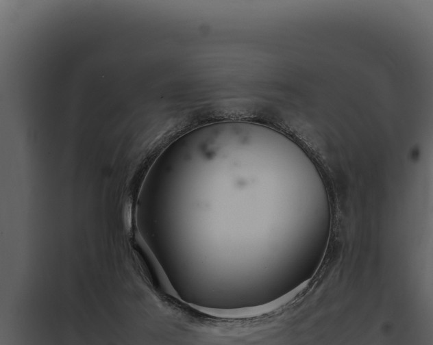 X0000097960021200804011708