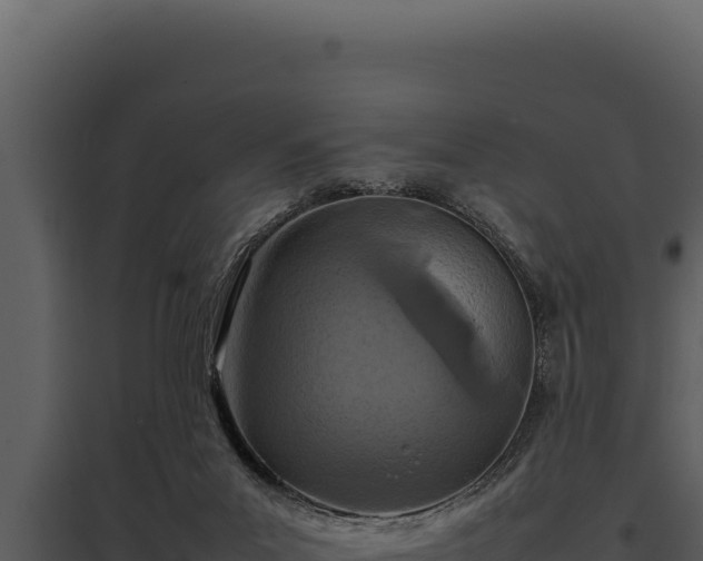 X0000097960023200804011708