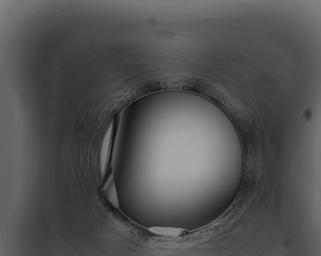 X0000097960025200804011708