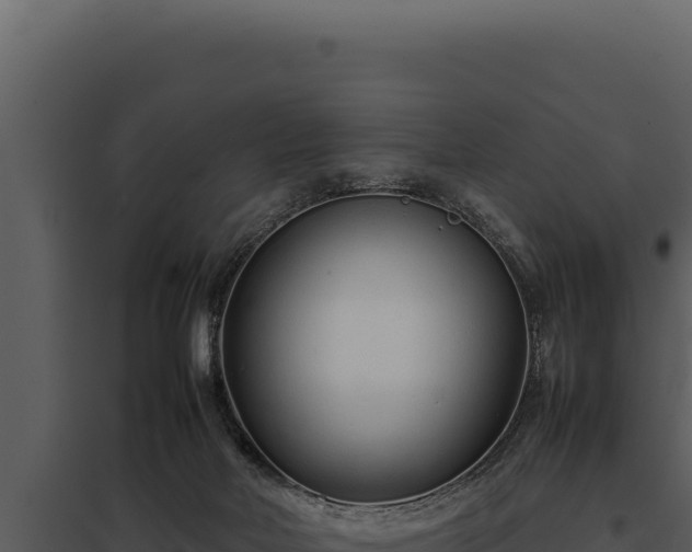 X0000097960026200804011708