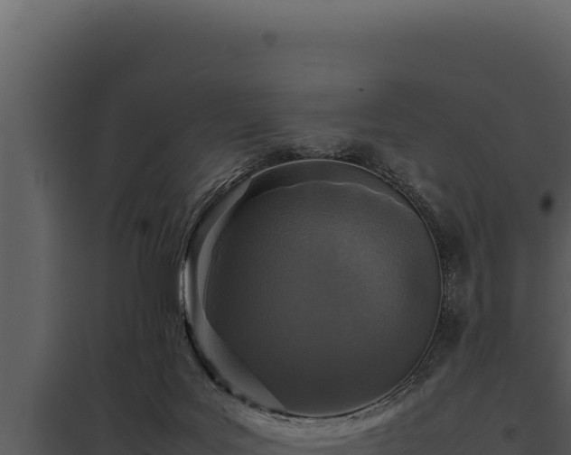 X0000097960027200804011708