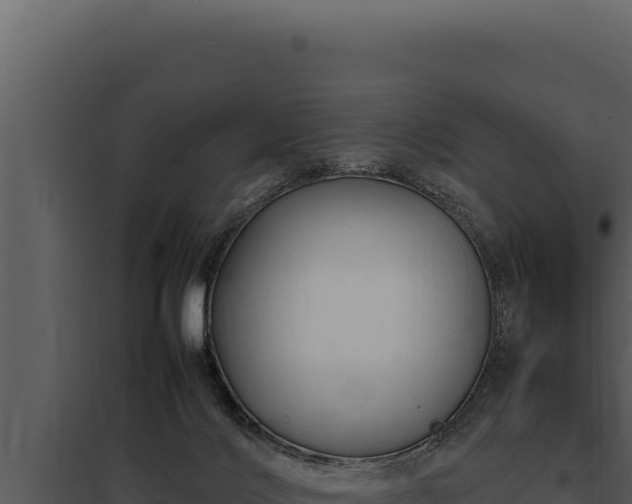X0000097960028200804011708