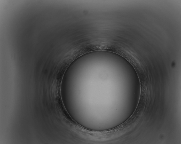 X0000097960030200804011708