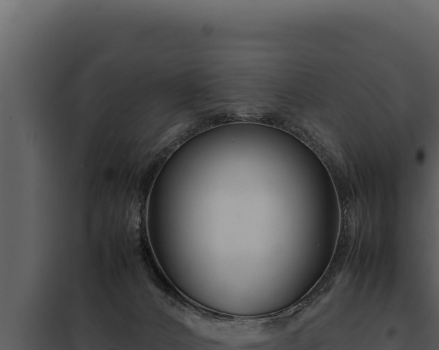 X0000097960032200804011708