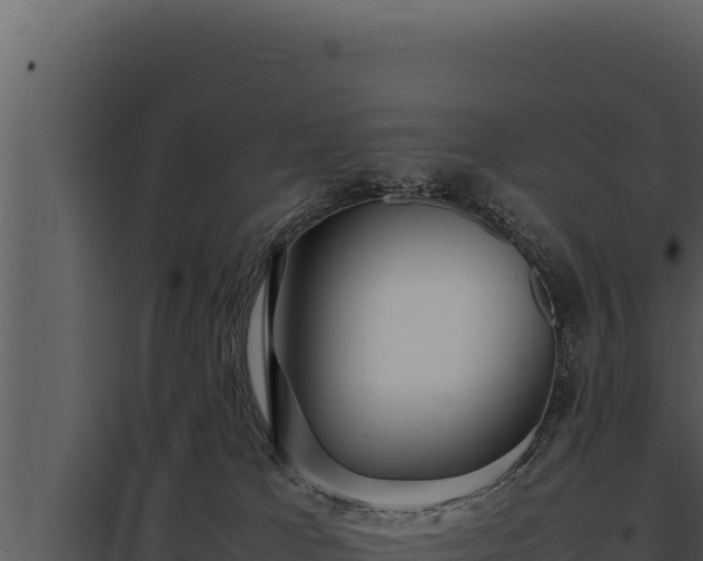 X0000097960037200804011708