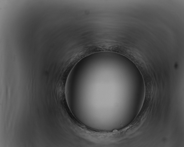 X0000097960040200804011708