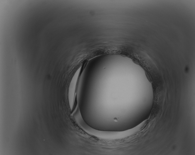 X0000097960041200804011708