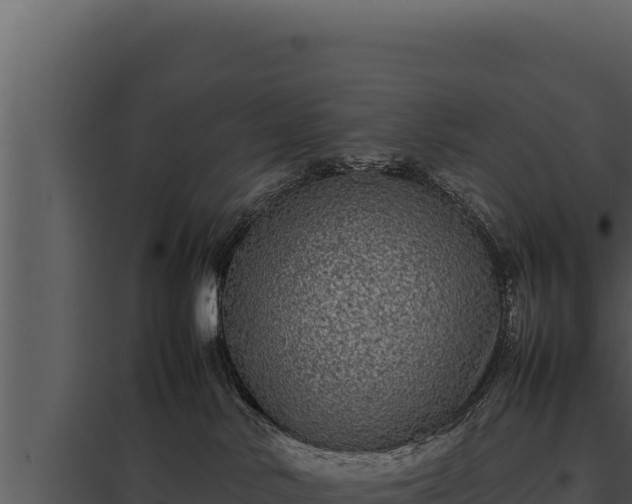 X0000097960042200804011707