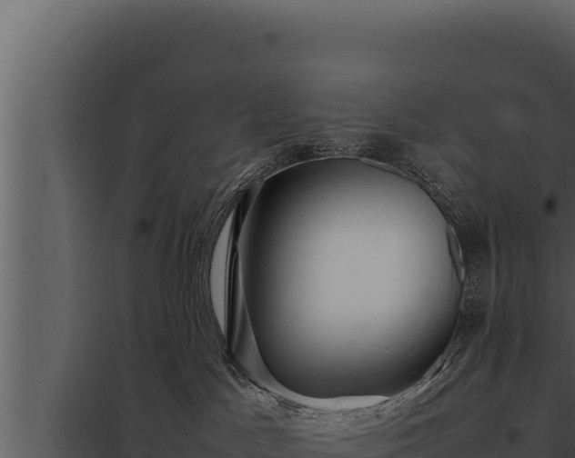 X0000097960045200804011707