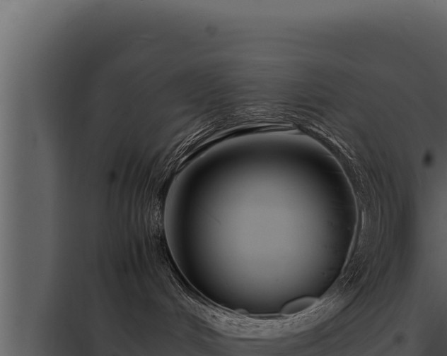 X0000097960048200804011707