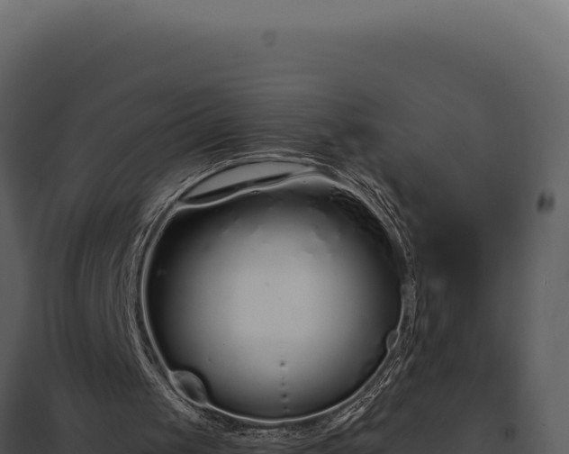 X0000097960049200804011707