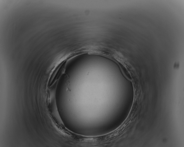 X0000097960050200804011707