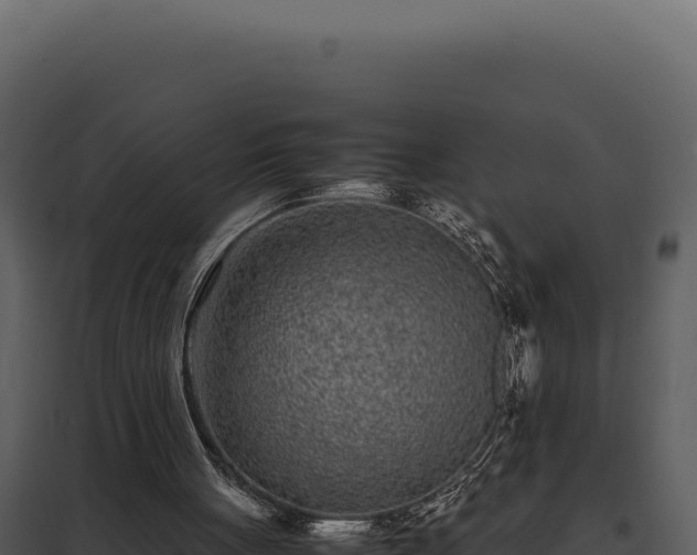 X0000097960051200804011707