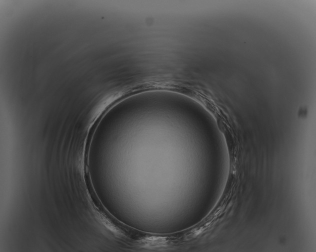 X0000097960052200804011707