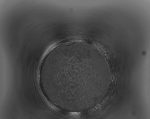 X0000097960053200804011707