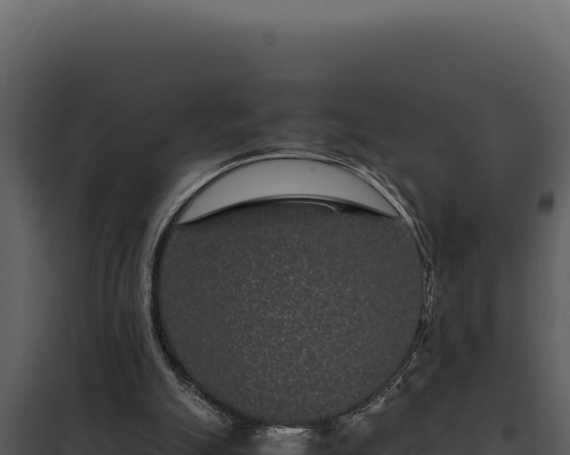 X0000097960055200804011707