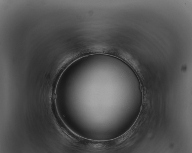 X0000097960058200804011707