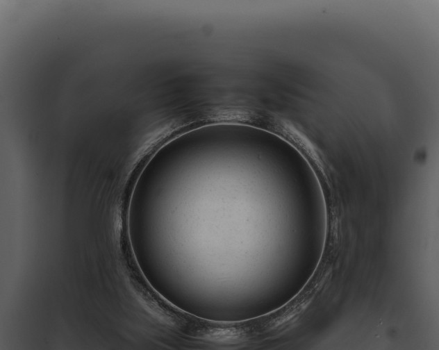 X0000097960059200804011707