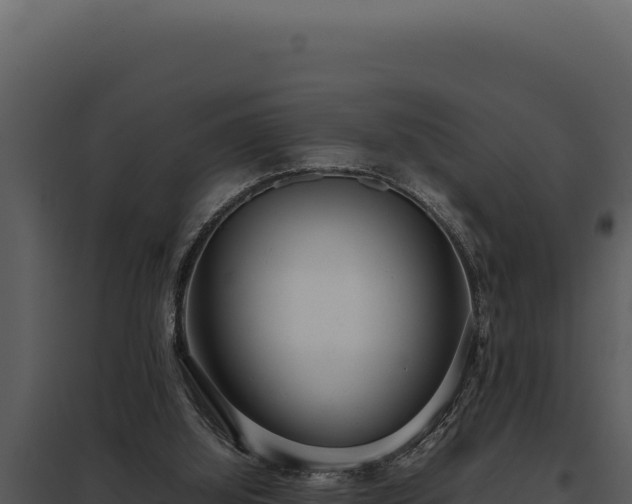 X0000097960060200804011707