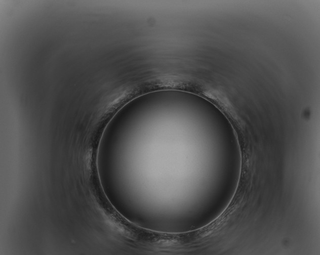 X0000097960066200804011707