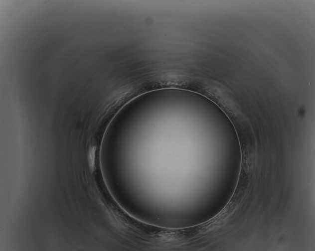 X0000097960070200804011707