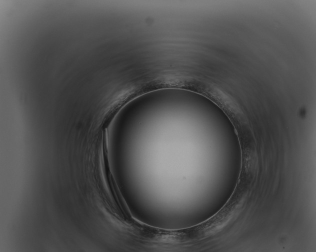 X0000097960072200804011707