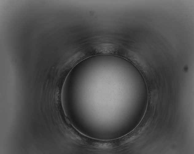 X0000097960073200804011707