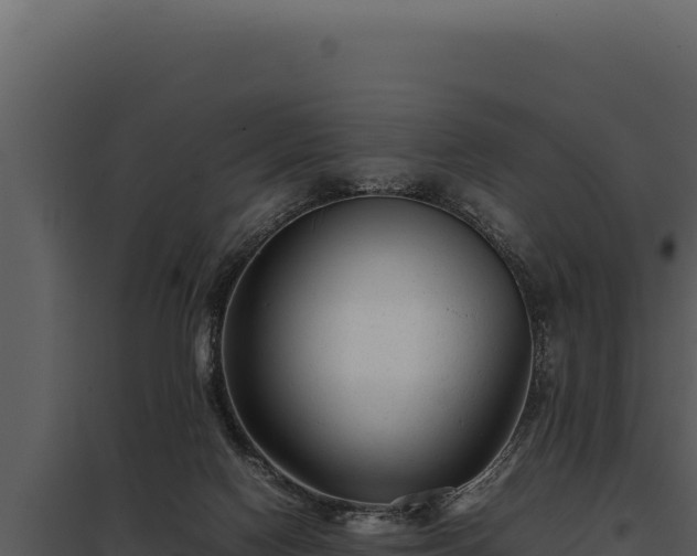 X0000097960074200804011707