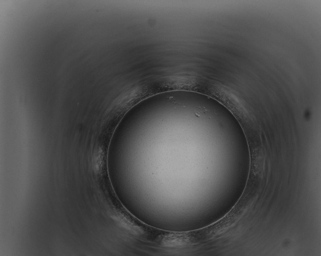 X0000097960077200804011707