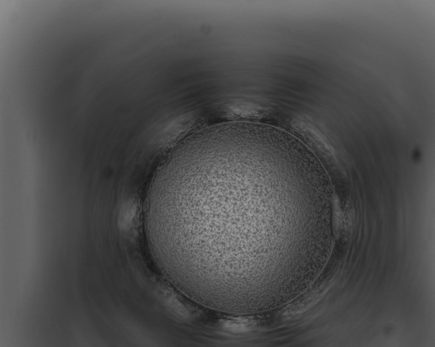 X0000097960079200804011707