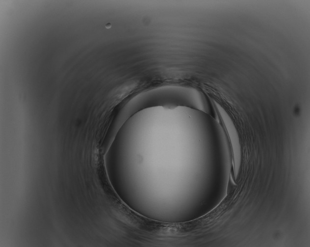 X0000097960080200804011707