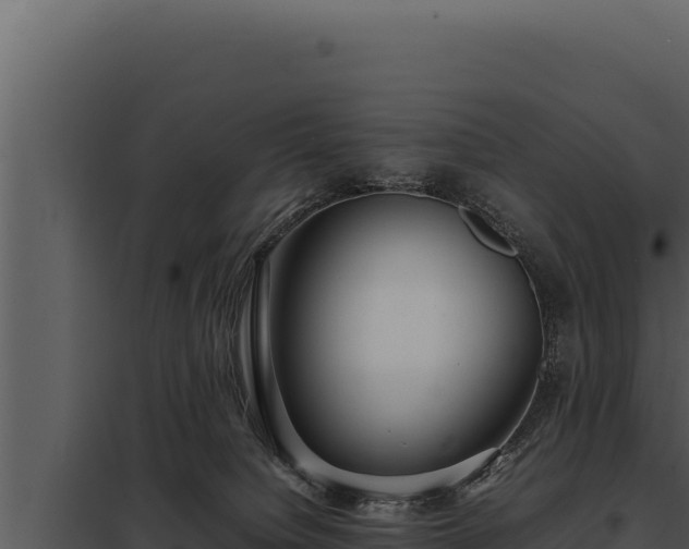 X0000097960084200804011707