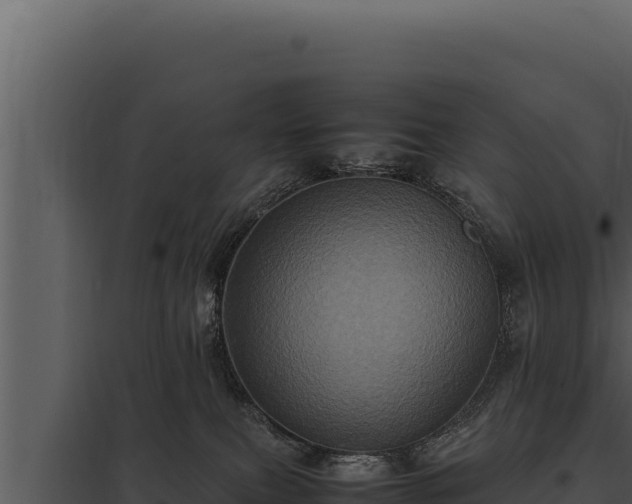 X0000097960087200804011707