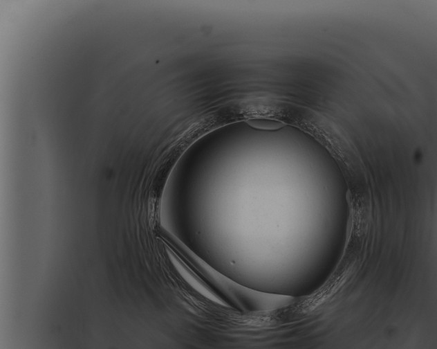 X0000097960093200804011707