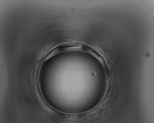 X0000097960097200804011707