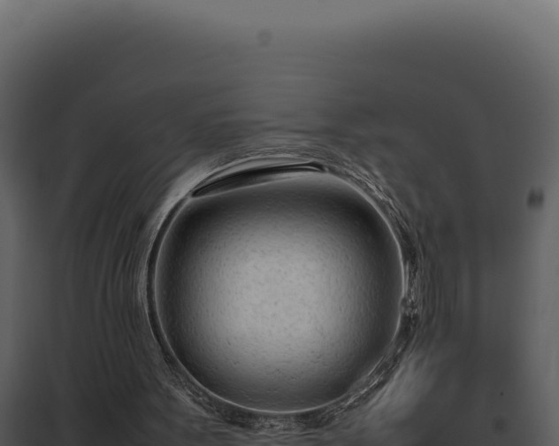X0000097960099200804011707