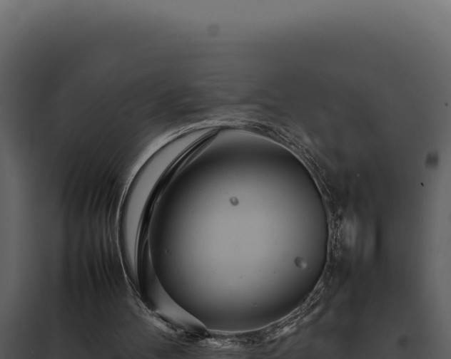 X0000097960100200804011707
